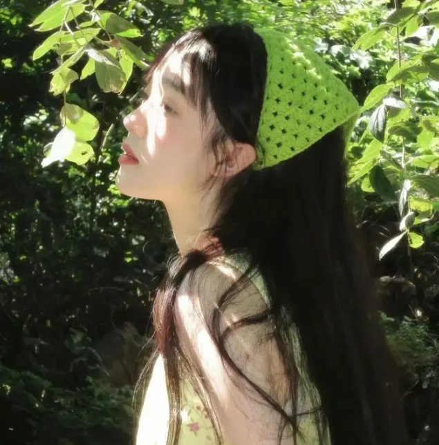 监察局长