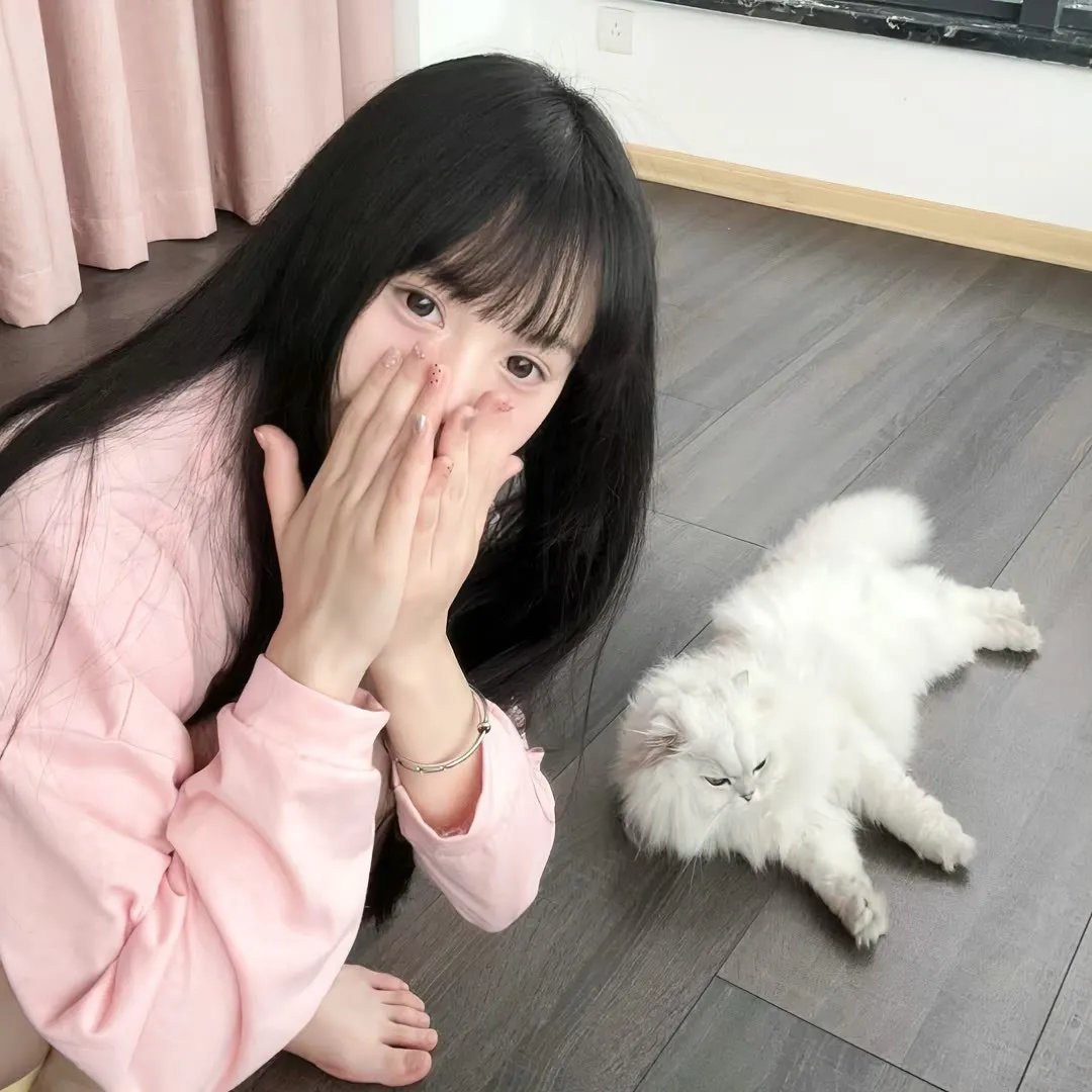穷追不舍
